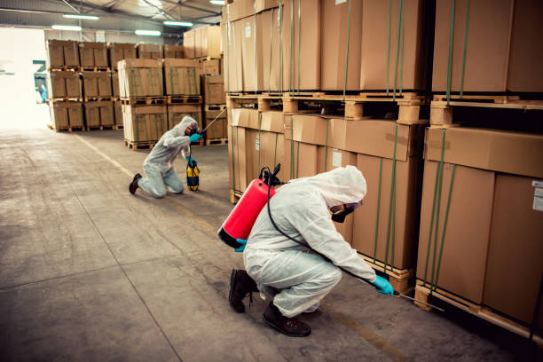 Best Wildlife Control Services  in Jackson, MN