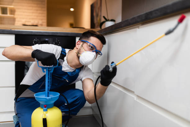 Best Rat Extermination Near Me  in Jackson, MN