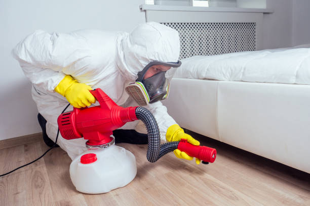 Reliable Jackson, MN Pest Control Solutions