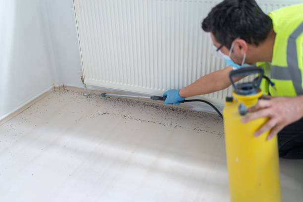 Best Ant Control Services  in Jackson, MN